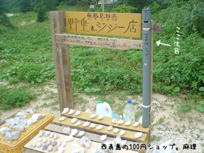 西表島レポート