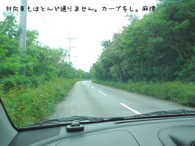 西表島レポート