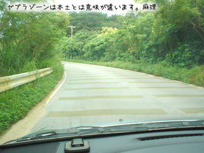 西表島レポート